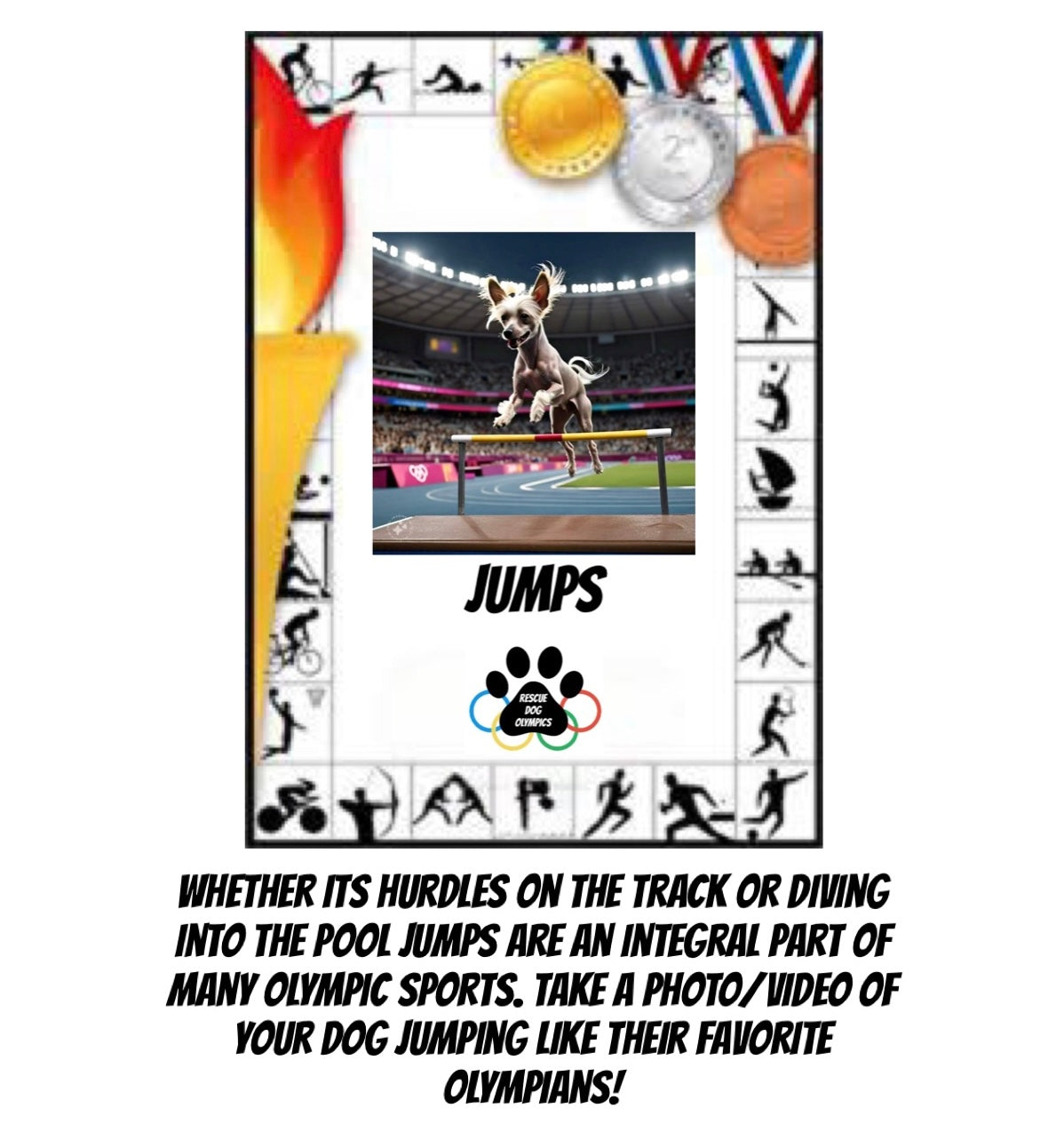 Rescue Dog Olympics Benefiting U.S.A. Rescue Team