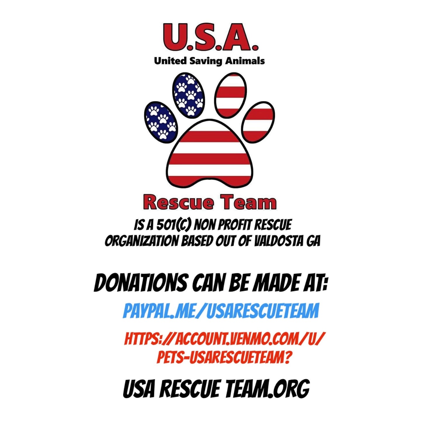 Rescue Dog Olympics Benefiting U.S.A. Rescue Team