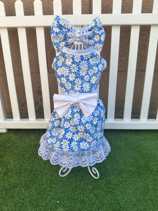 Daisies For Days Limited Run Couture Dog Dress