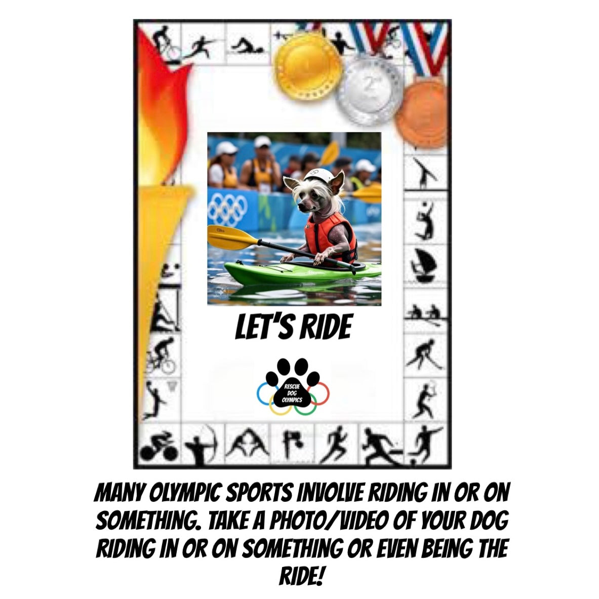 Rescue Dog Olympics Benefiting U.S.A. Rescue Team