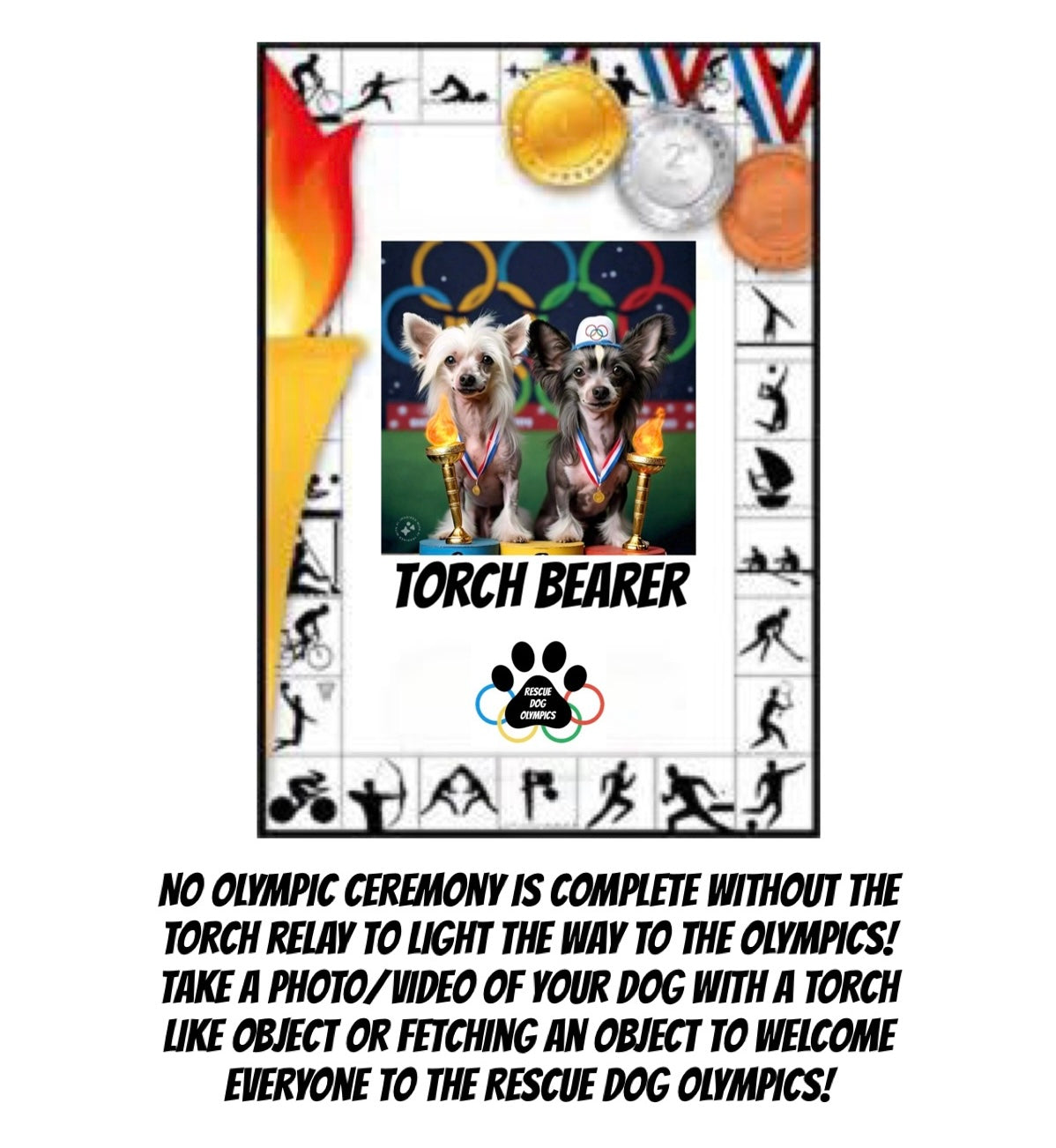 Rescue Dog Olympics Benefiting U.S.A. Rescue Team