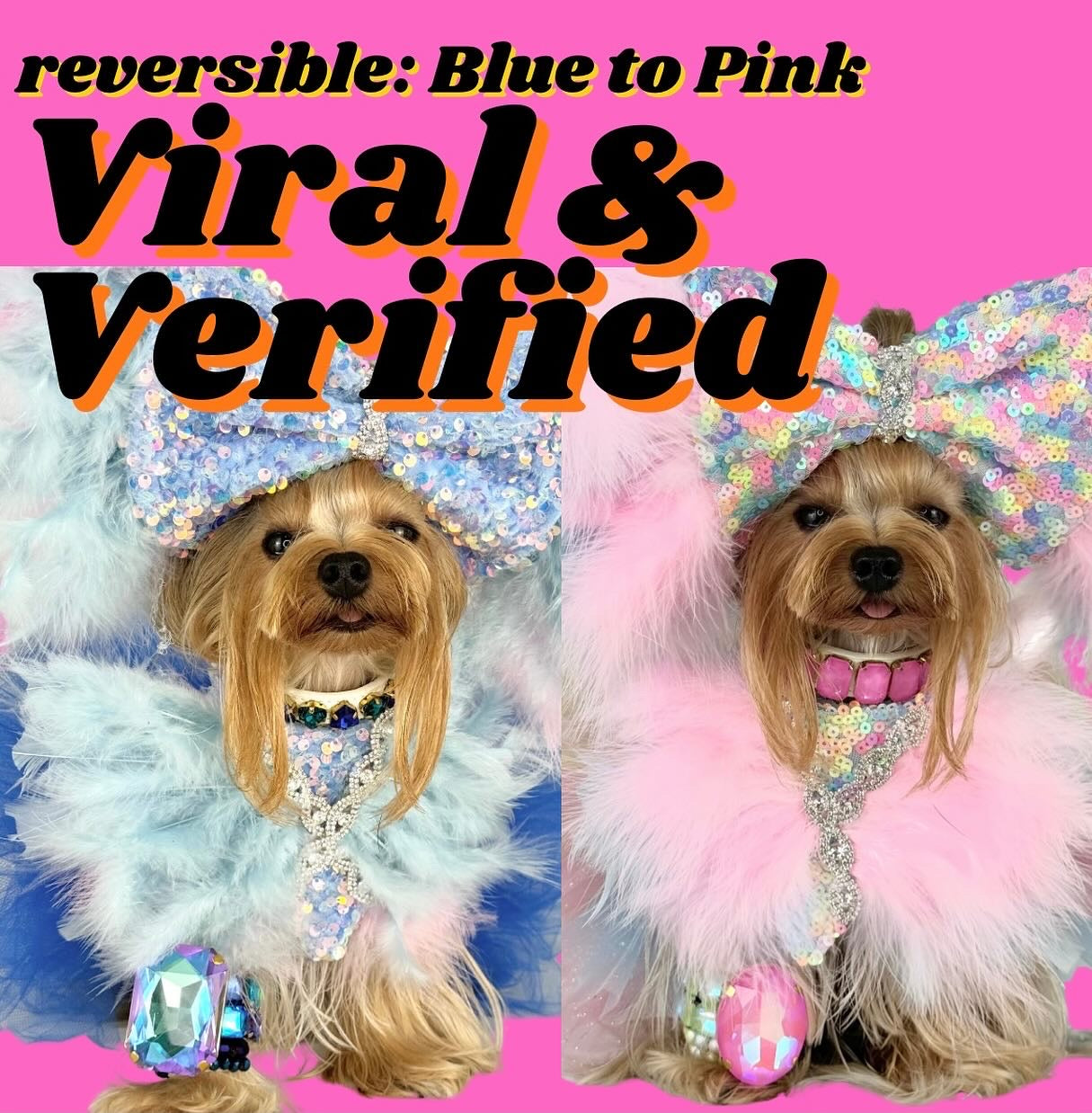 Verified And Viral Bow and Bandana Set