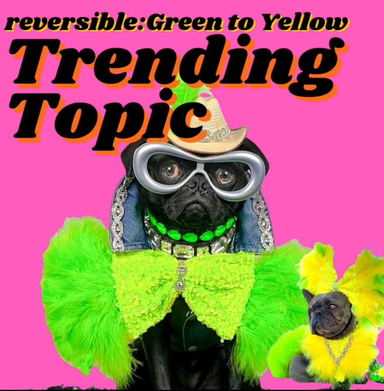 Trending Topic Bow/Bow Tie