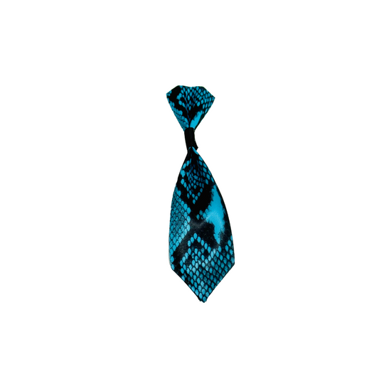 Teal Me I'm Handsome Dog Tie