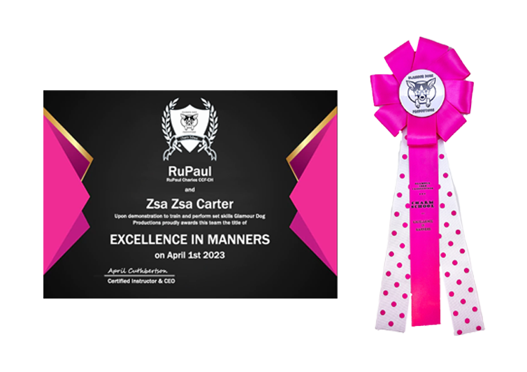 Glamour Dogs Productions Charm School: Excellence in Manners Dog Title