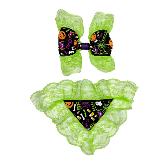 Elegant Ectoplasm Dog Hair Bow and Bandana Set